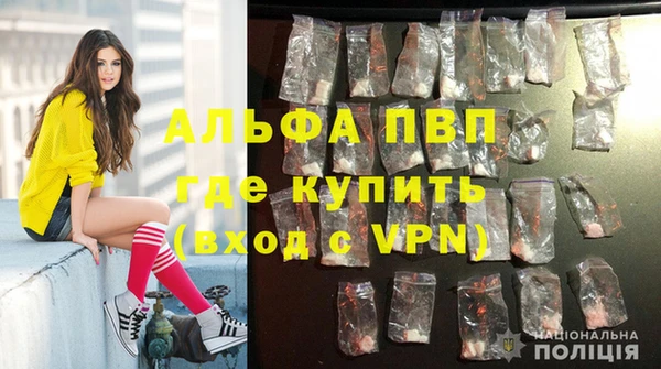 крисы Слюдянка