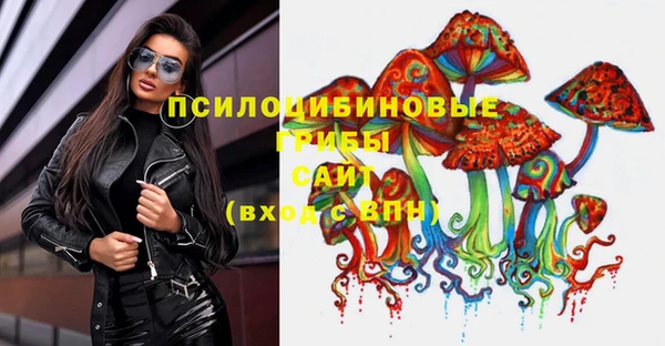 Альфа ПВП Армянск