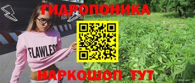 гашик Ирбит