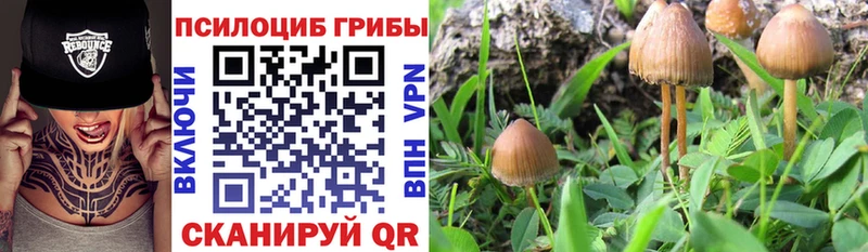 Галлюциногенные грибы GOLDEN TEACHER  Менделеевск 
