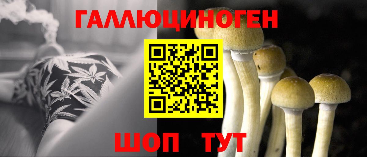 Менделеевск  Псилоцибиновые грибы Cubensis  Вход с VPN  Псилоцибиновые грибы ЛСД 